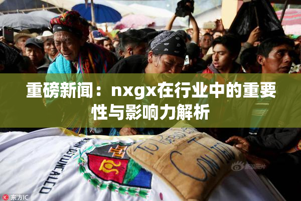 重磅新闻：nxgx在行业中的重要性与影响力解析