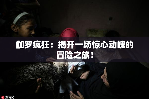 伽罗疯狂：揭开一场惊心动魄的冒险之旅！