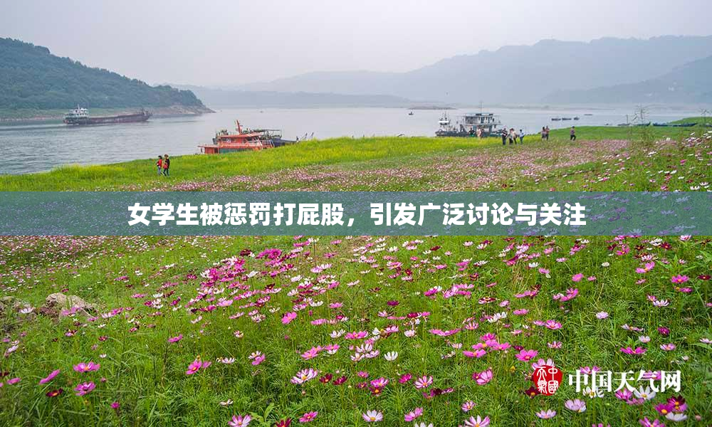 女学生被惩罚打屁股，引发广泛讨论与关注