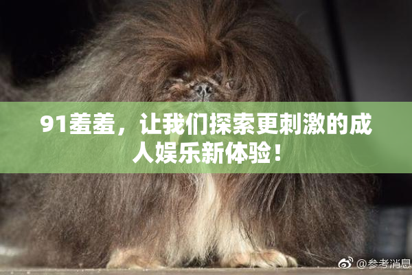91羞羞，让我们探索更刺激的成人娱乐新体验！