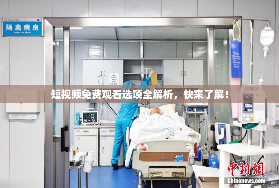短视频免费观看选项全解析，快来了解！