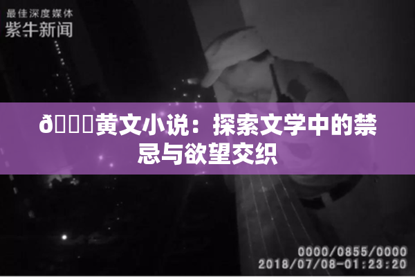 🔞黄文小说：探索文学中的禁忌与欲望交织