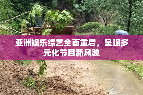 亚洲娱乐综艺全面重启，呈现多元化节目新风貌