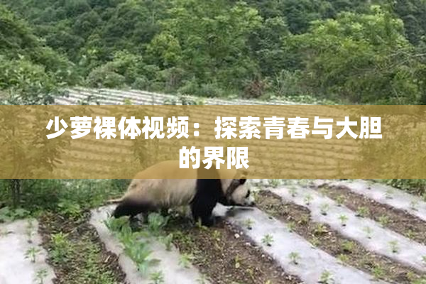 少萝裸体视频：探索青春与大胆的界限