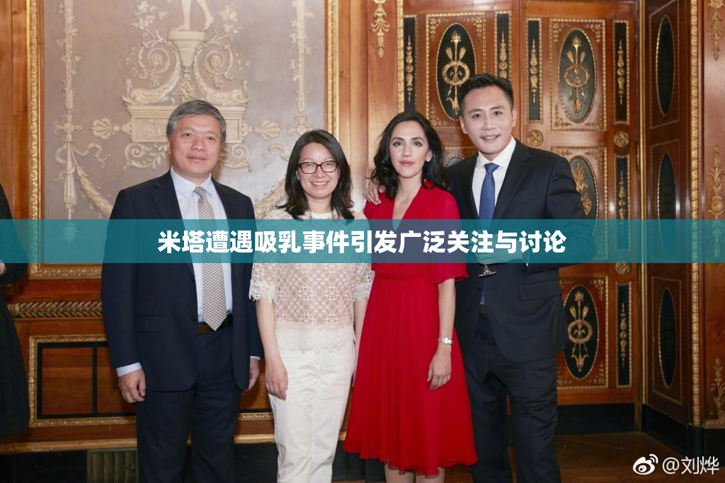 米塔遭遇吸乳事件引发广泛关注与讨论