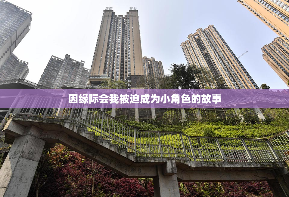 因缘际会我被迫成为小角色的故事