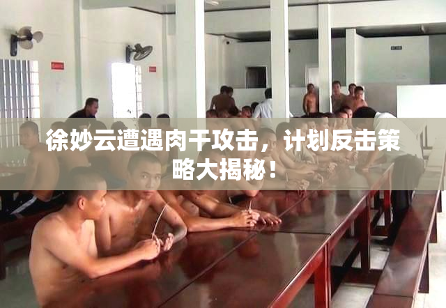 徐妙云遭遇肉干攻击，计划反击策略大揭秘！