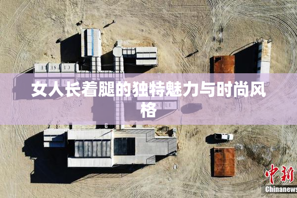 女人长着腿的独特魅力与时尚风格