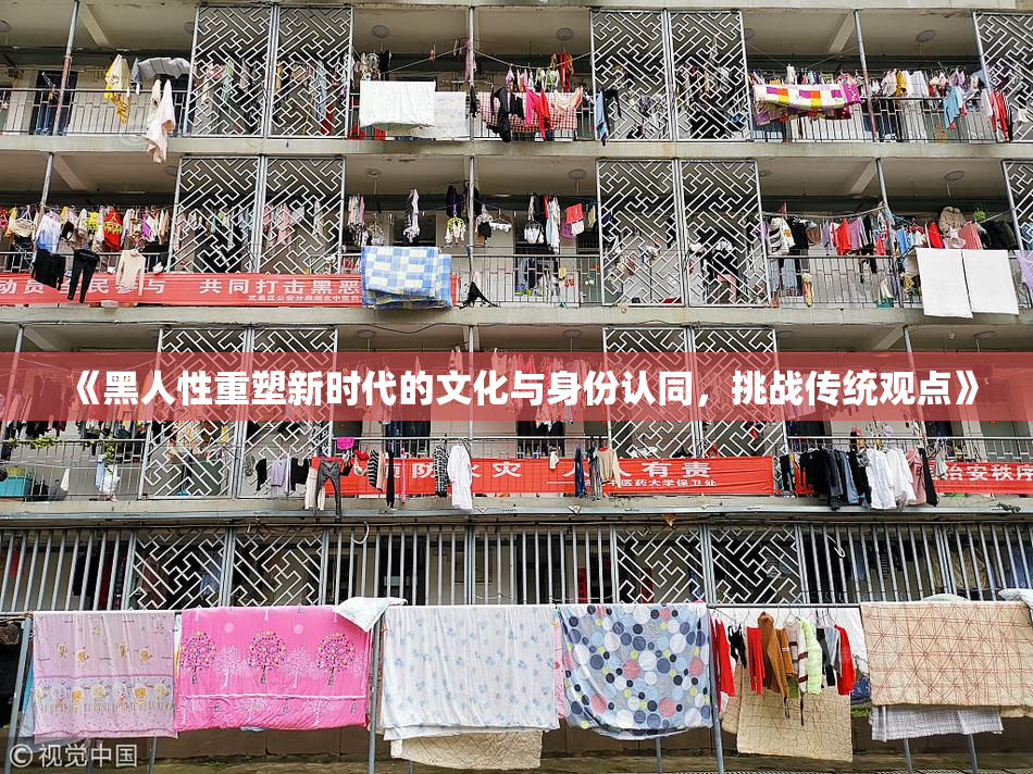 《黑人性重塑新时代的文化与身份认同，挑战传统观点》
