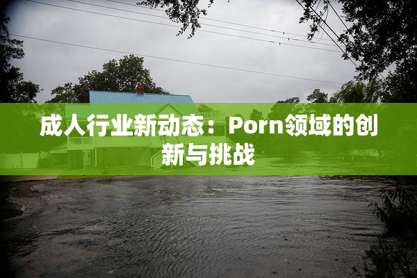 成人行业新动态：Porn领域的创新与挑战