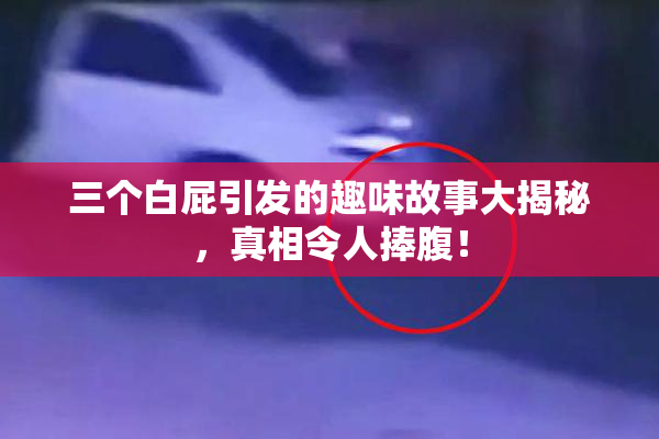 三个白屁引发的趣味故事大揭秘，真相令人捧腹！