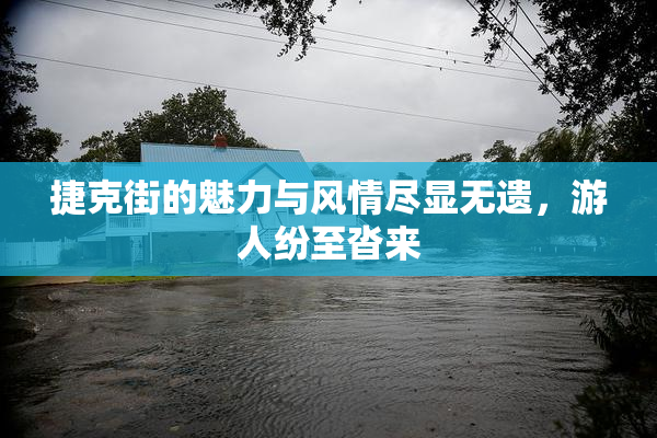 捷克街的魅力与风情尽显无遗，游人纷至沓来