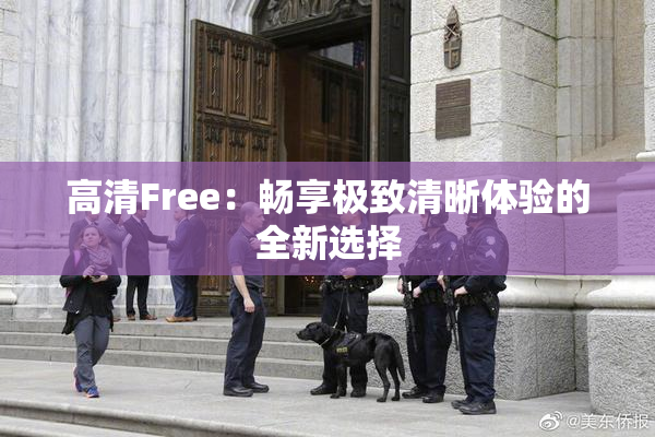 高清Free：畅享极致清晰体验的全新选择