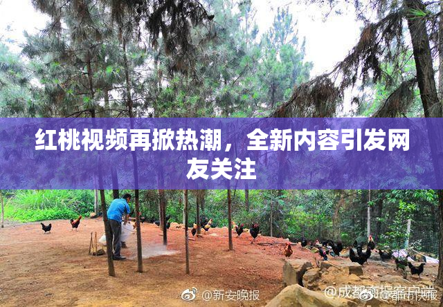 红桃视频再掀热潮，全新内容引发网友关注