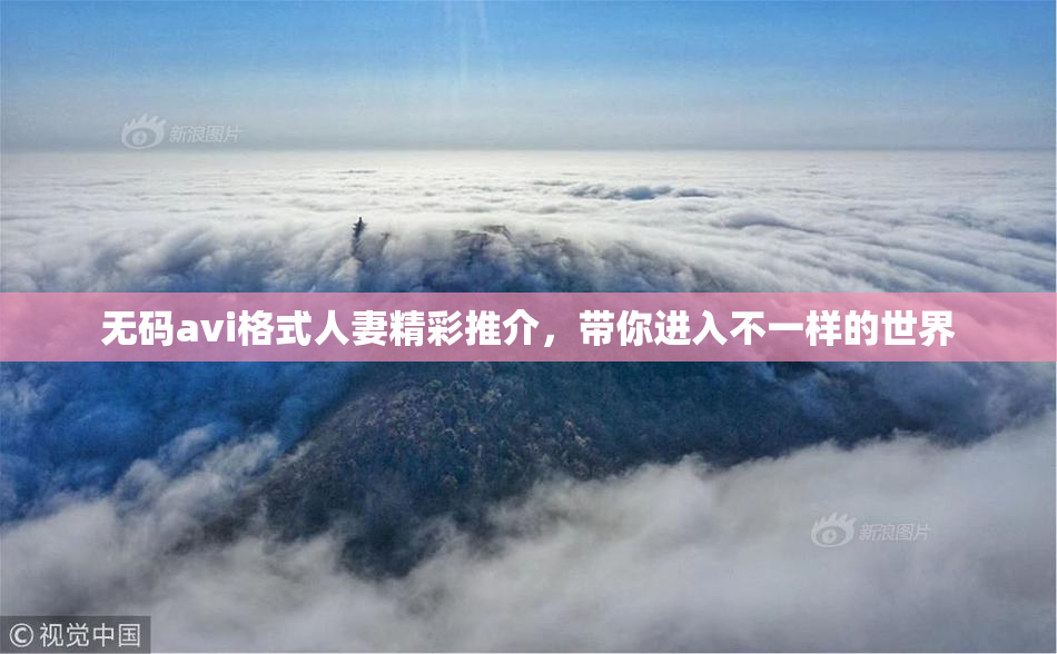 无码avi格式人妻精彩推介，带你进入不一样的世界