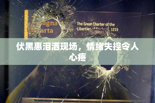 伏黑惠泪洒现场，情绪失控令人心疼