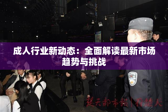成人行业新动态：全面解读最新市场趋势与挑战
