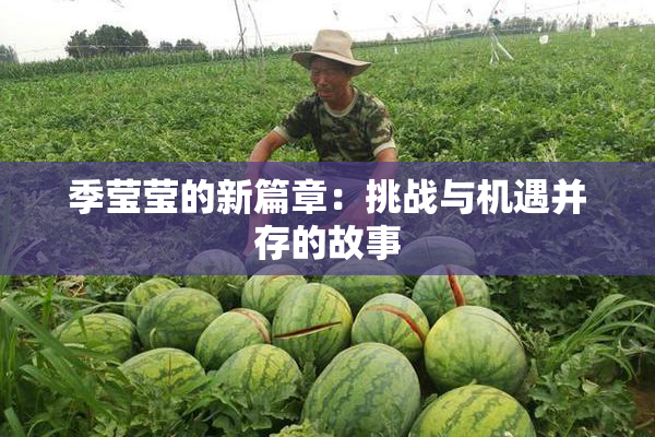 季莹莹的新篇章：挑战与机遇并存的故事