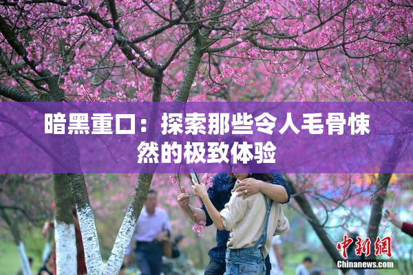 暗黑重口：探索那些令人毛骨悚然的极致体验