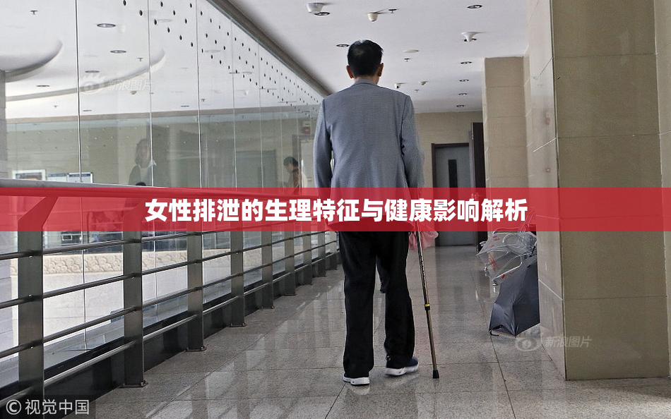 女性排泄的生理特征与健康影响解析