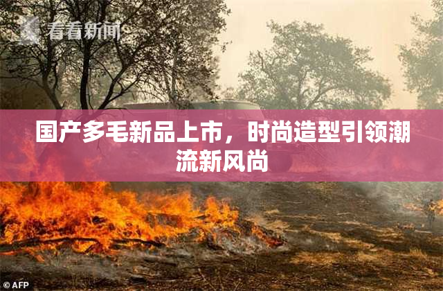 国产多毛新品上市，时尚造型引领潮流新风尚