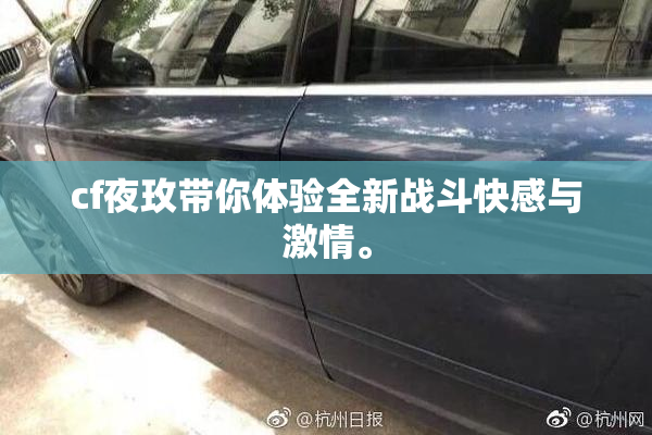 cf夜玫带你体验全新战斗快感与激情。