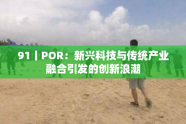 91丨POR：新兴科技与传统产业融合引发的创新浪潮