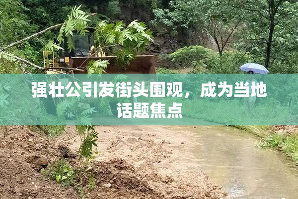强壮公引发街头围观，成为当地话题焦点