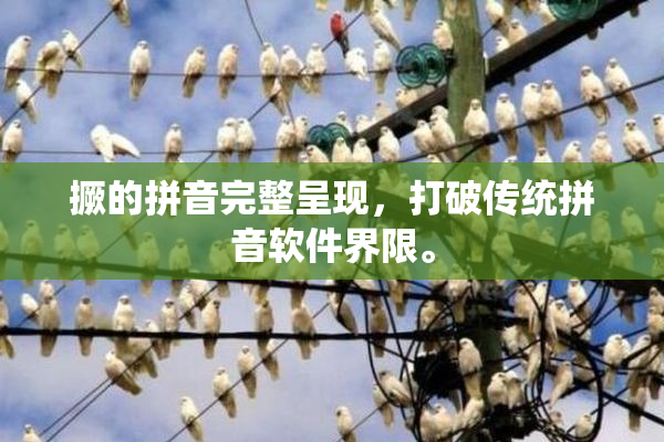 撅的拼音完整呈现，打破传统拼音软件界限。