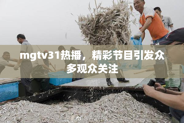 mgtv31热播，精彩节目引发众多观众关注