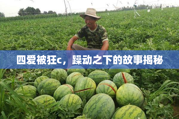 四爱被狂c，躁动之下的故事揭秘