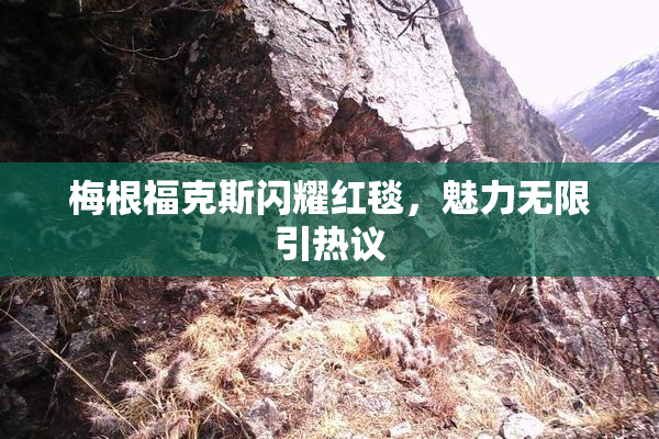 梅根福克斯闪耀红毯，魅力无限引热议
