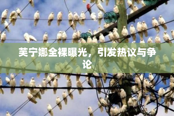 芙宁娜全裸曝光，引发热议与争论