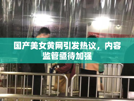 国产美女黄网引发热议，内容监管亟待加强