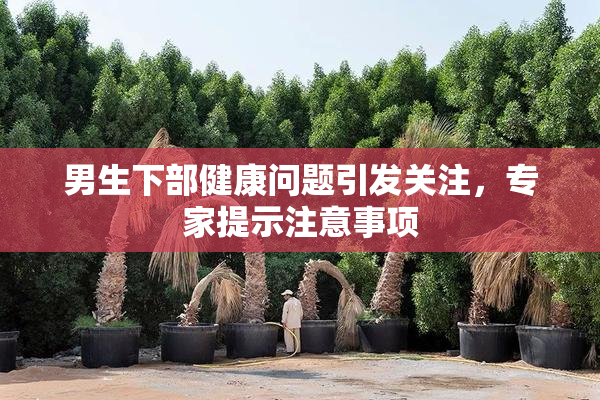 男生下部健康问题引发关注，专家提示注意事项
