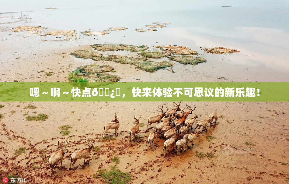 嗯～啊～快点🌿‌，快来体验不可思议的新乐趣！