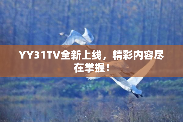 YY31TV全新上线，精彩内容尽在掌握！