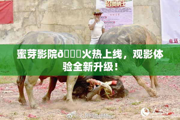 蜜芽影院🔞火热上线，观影体验全新升级！