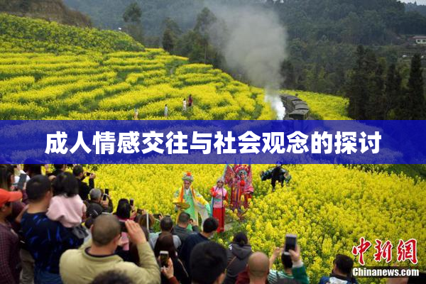 成人情感交往与社会观念的探讨