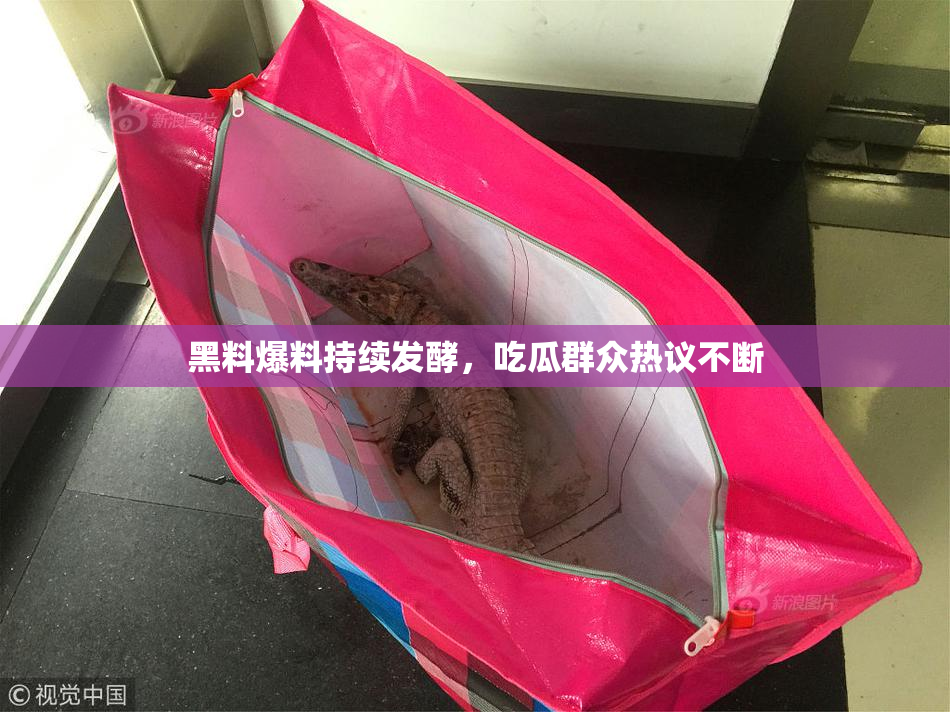 黑料爆料持续发酵，吃瓜群众热议不断