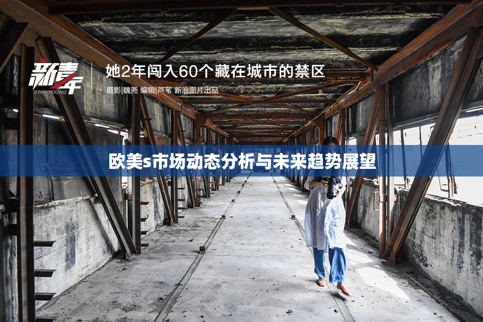 欧美s市场动态分析与未来趋势展望