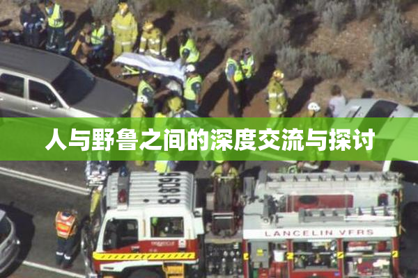 人与野鲁之间的深度交流与探讨