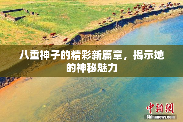 八重神子的精彩新篇章，揭示她的神秘魅力