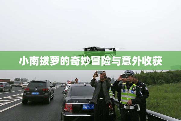 小南拔萝的奇妙冒险与意外收获
