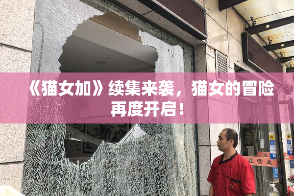 《猫女加》续集来袭，猫女的冒险再度开启！