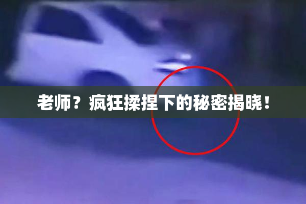 老师？疯狂揉捏下的秘密揭晓！