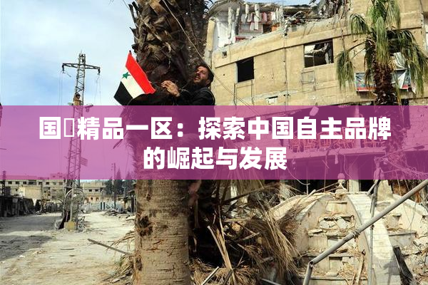 国產精品一区：探索中国自主品牌的崛起与发展