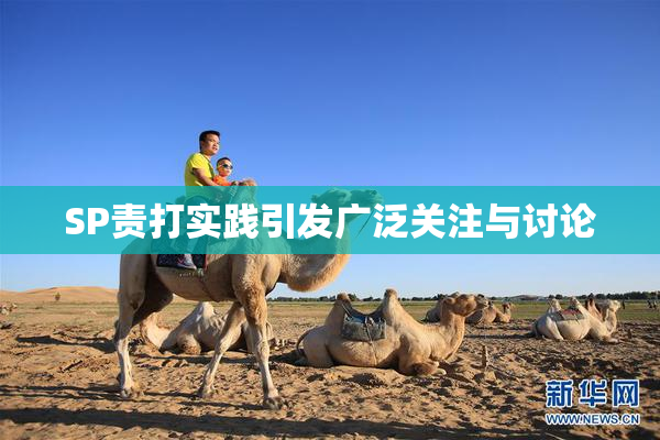SP责打实践引发广泛关注与讨论