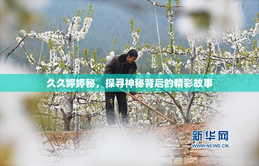 久久婷婷秘，探寻神秘背后的精彩故事