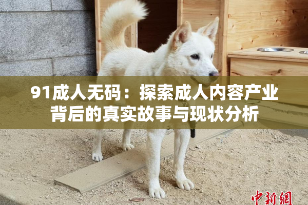 91成人无码：探索成人内容产业背后的真实故事与现状分析